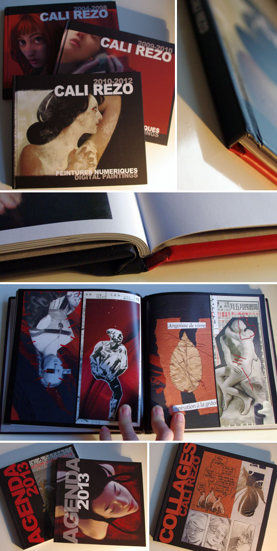 book livre de peintures numériques cali rezo 2010 2011 2012 agenda 2013 et collages