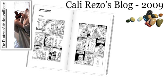 Bannière pour la préface du blog papier Cali Rezo 2009 - par Boulet