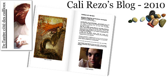 Bannière pour la préface du blog papier Cali Rezo 2010 - par Myriam