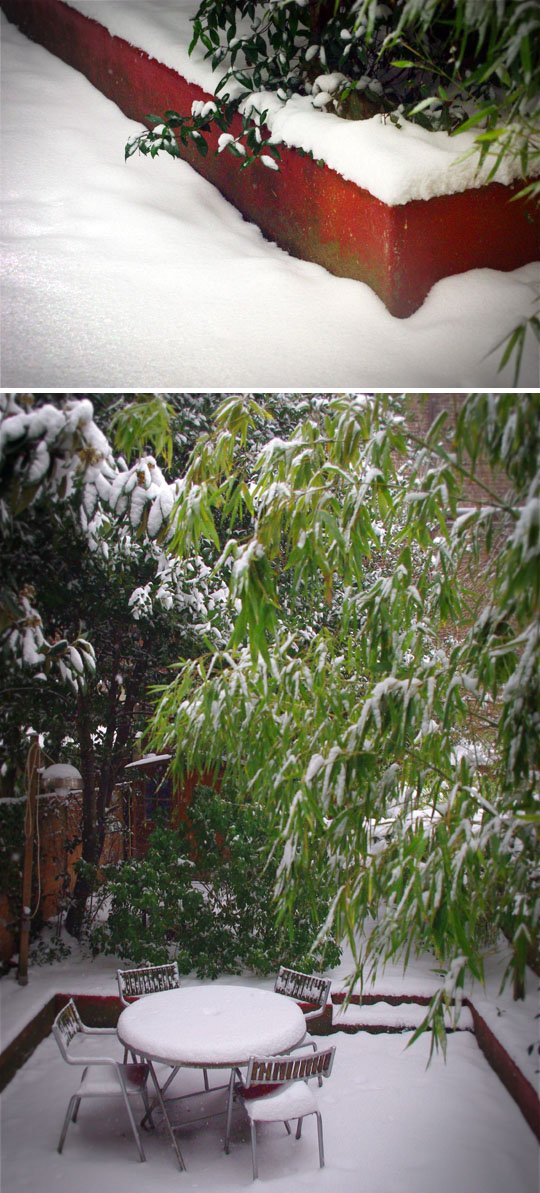 neige paris 2013 cali rezo jardin, jan 2013 neige paris 2013 cali rezo jardin