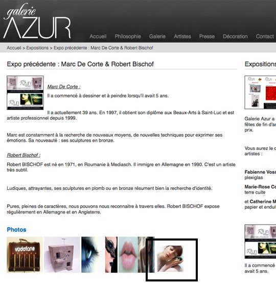 Vol d'images - cali rezo - dec 2013 - Marc de Corte, artiste plagiaire et aussi belge