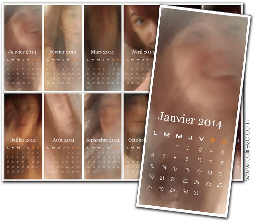 Calendrier 2014 - cali rezo