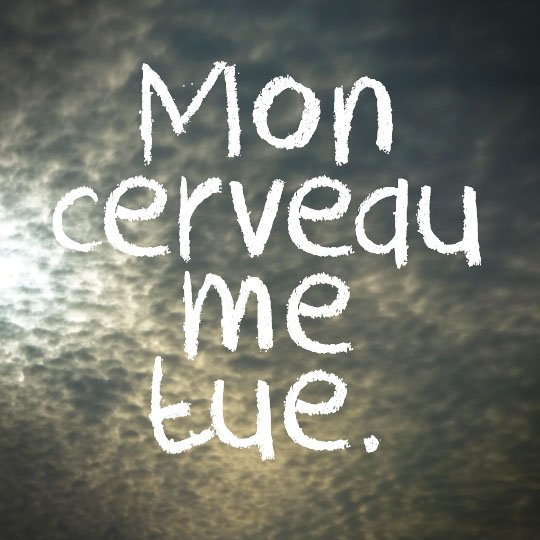 Mon cerveau me tue - cali rezo 2014