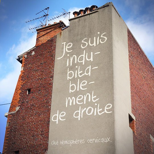 Je suis de droite (du cerveau ) - cali rezo 2014