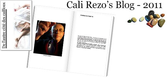 Bannière pour la préface du blog papier Cali Rezo 2011 - par Jo, fév 2014 Bannière pour la préface du blog papier Cali Rezo 2011 - par Jo