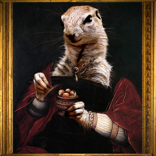 Renaissance-Xerus_Anim