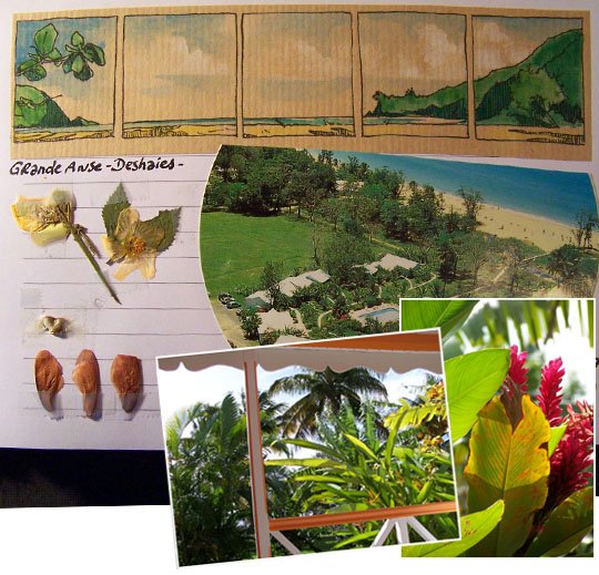 carnet de Guadeloupe - 81 - Voyage 2009, fév 2009