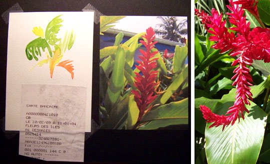 carnet de Guadeloupe - 23 - Voyage 2009, fév 2009