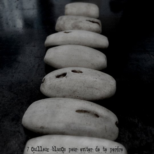 Phédia, jan 2010