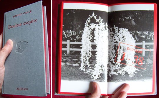 Sophie Calle, juin 2009